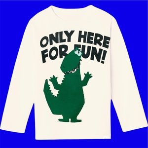 NWT Zara Tshirt Graphic Long Sleeve Shirt baby boys girls Toddlers Tee gift